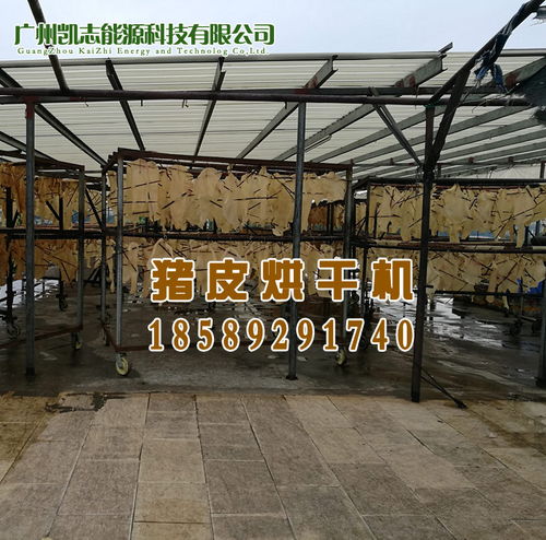 猪皮烘干设备与鞋帽批发行业的专业厂家推荐
